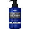 Kundal Scalp Refreshing Cool & Clear Шампунь освежающий для кожи головы - 2