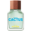 UCB Men Masc Cactus Le Туалетная вода - 2